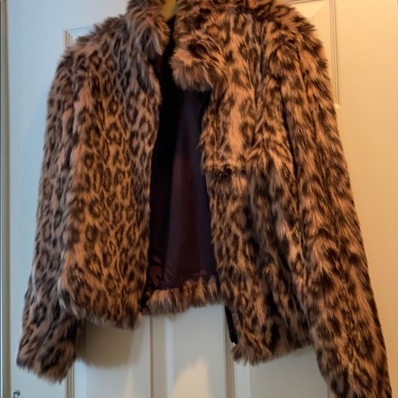 Jacket - Picture 3 of 3